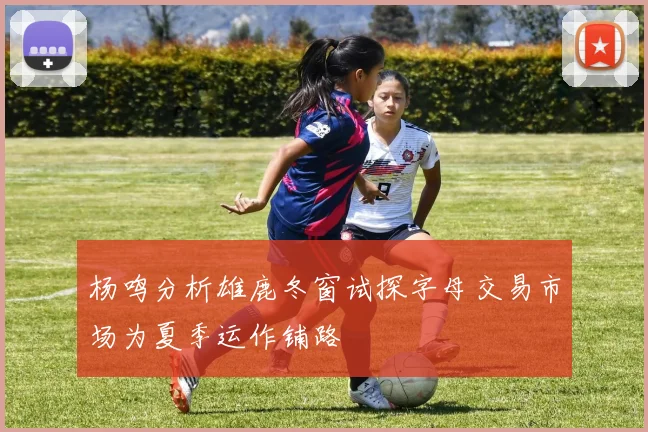 杨鸣分析雄鹿冬窗试探字母交易市场为夏季运作铺路