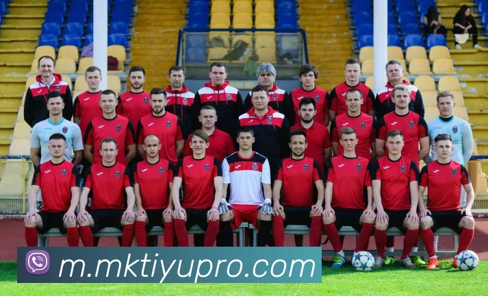 MK体育平台生态图